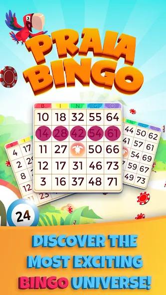 Взломанная Praia Bingo: Slot & Casino (Прэйя Бинго)  [МОД Много монет] — полная версия apk на Андроид screen 1