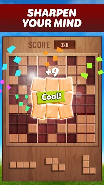 Скачать взлом Woody 99 — Sudoku Block Puzzle (Вуди 99)  [МОД Бесконечные монеты] — стабильная версия apk на Андроид screen 1