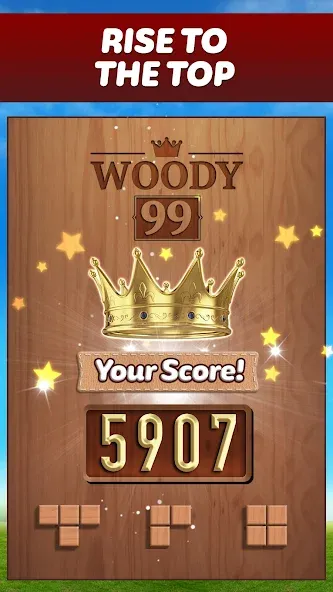 Скачать взлом Woody 99 — Sudoku Block Puzzle (Вуди 99)  [МОД Бесконечные монеты] — стабильная версия apk на Андроид screen 5