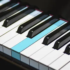 Real Piano electronic keyboard