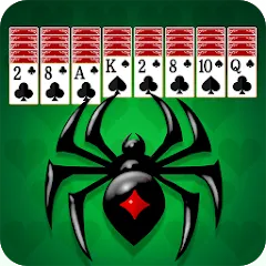 Spider Solitaire: Card Game