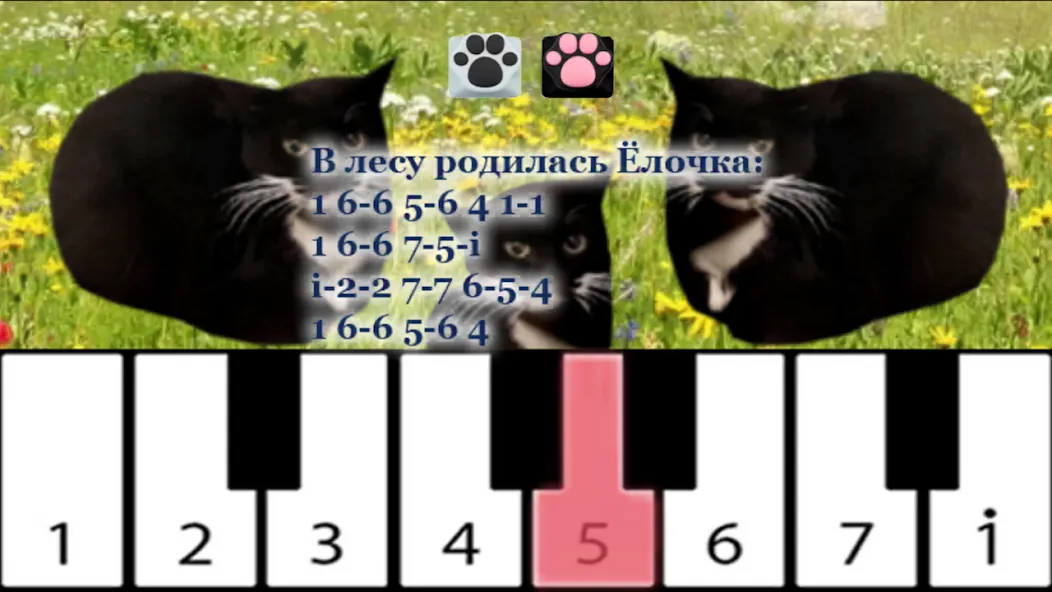 Взлом Maxwell the Cat piano (Максвелл зе Кэт пиано)  [МОД Бесконечные деньги] — последняя версия apk на Андроид screen 1