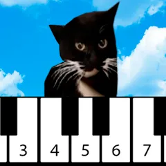 Maxwell the Cat piano