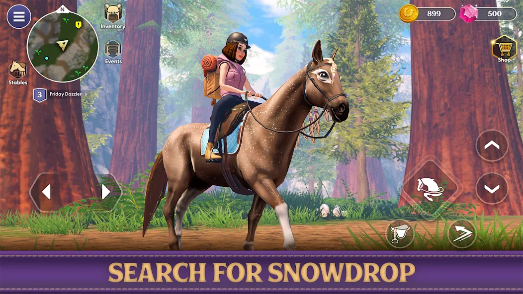 Скачать взлом Star Equestrian — Horse Ranch (Стар Иквестриан)  [МОД Все открыто] — последняя версия apk на Андроид screen 3