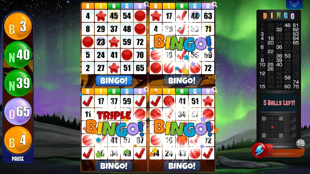 Взлом Absolute Bingo  [МОД Unlimited Money] — последняя версия apk на Андроид screen 2