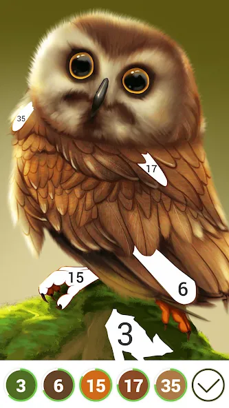 Взлом Hola Color—Coloring by Number (ола калор)  [МОД Меню] — стабильная версия apk на Андроид screen 3