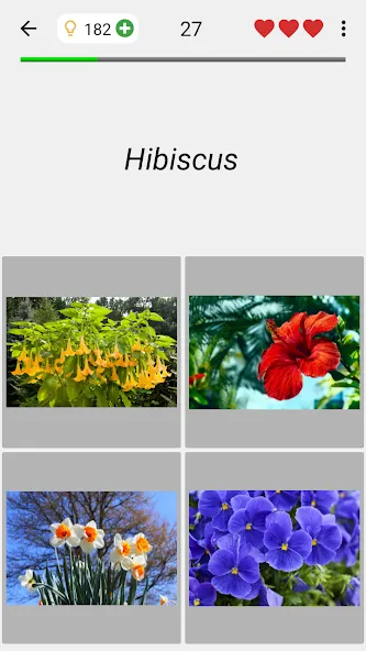 Скачать взлом Flowers Quiz — Identify Plants  [МОД Бесконечные деньги] — стабильная версия apk на Андроид screen 4