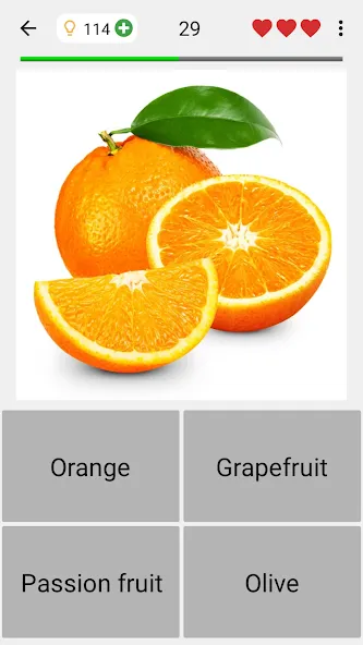 Взлом Fruit and Vegetables — Quiz  [МОД Меню] — последняя версия apk на Андроид screen 4