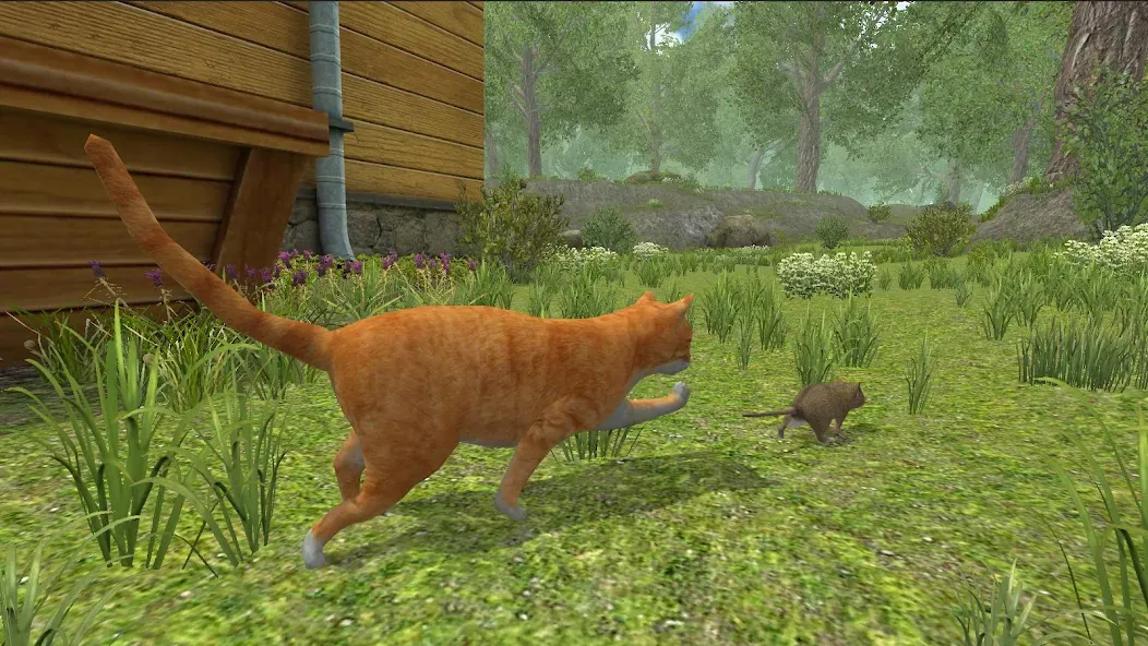 Скачать взлом Mouse Simulator :  Forest Home  [МОД Menu] — стабильная версия apk на Андроид screen 3