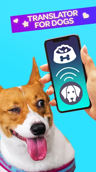 Скачать взлом Dog Translator Pet Speak Talk  [МОД Много монет] — стабильная версия apk на Андроид screen 1