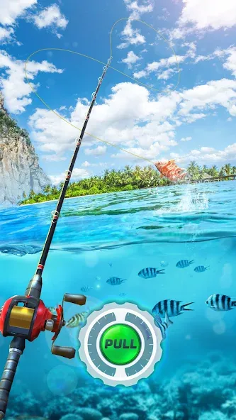 Скачать взлом Fishing Rival 3D (Фишинг Ривал 3Д)  [МОД Mega Pack] — полная версия apk на Андроид screen 1