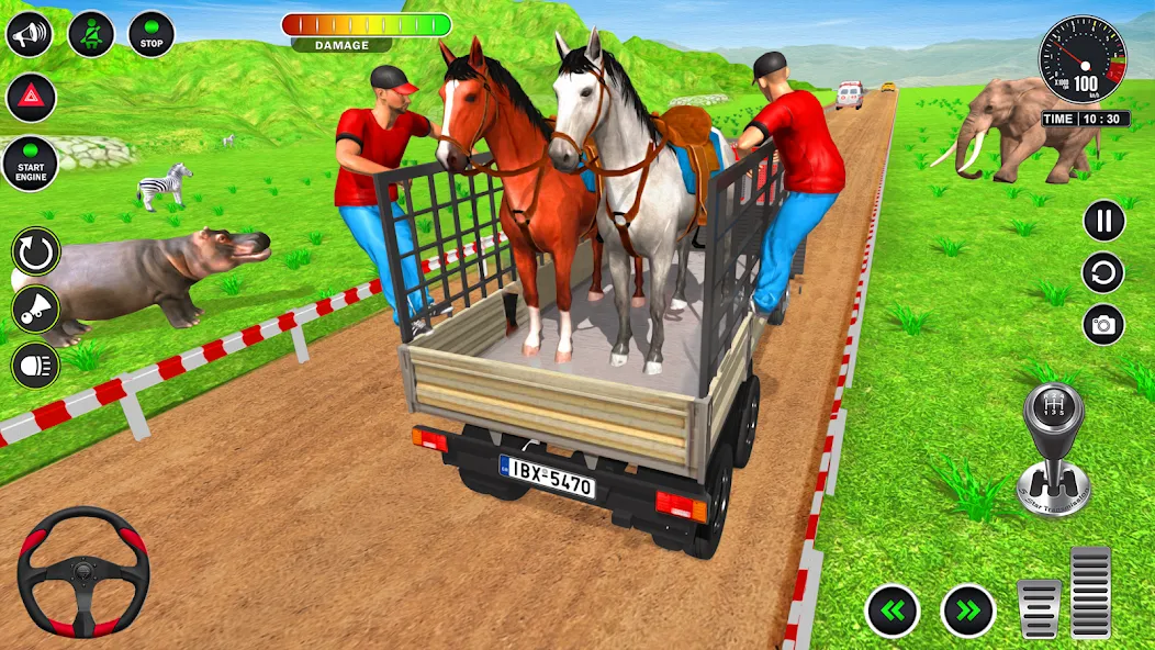 Взломанная Animal Transport Truck Game 3D (Игра Грузовик для перевозки животных)  [МОД Много монет] — стабильная версия apk на Андроид screen 4