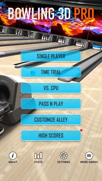 Скачать взлом Bowling 3D Pro (Боулинг 3D Про)  [МОД Много монет] — стабильная версия apk на Андроид screen 4