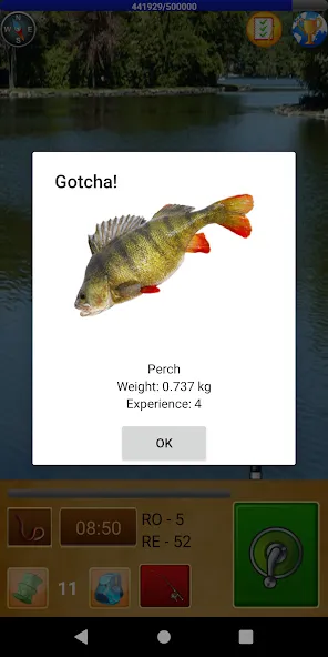 Взломанная Fishing For Friends  [МОД Бесконечные деньги] — стабильная версия apk на Андроид screen 2