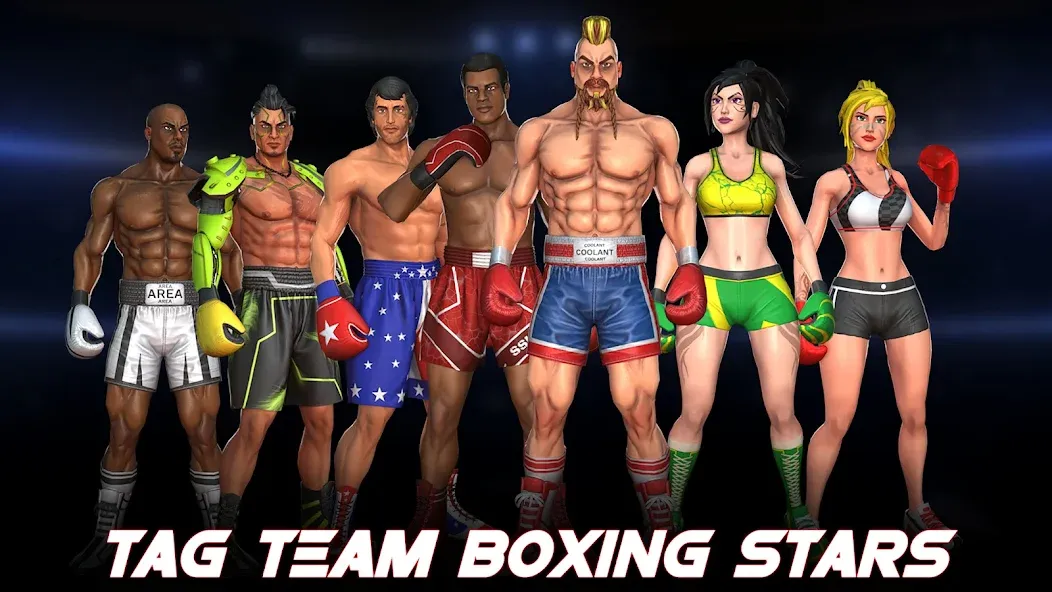 Скачать взлом Boxing Heros: Fighting Games (Тэг Боксинг Игры)  [МОД Много денег] — полная версия apk на Андроид screen 5