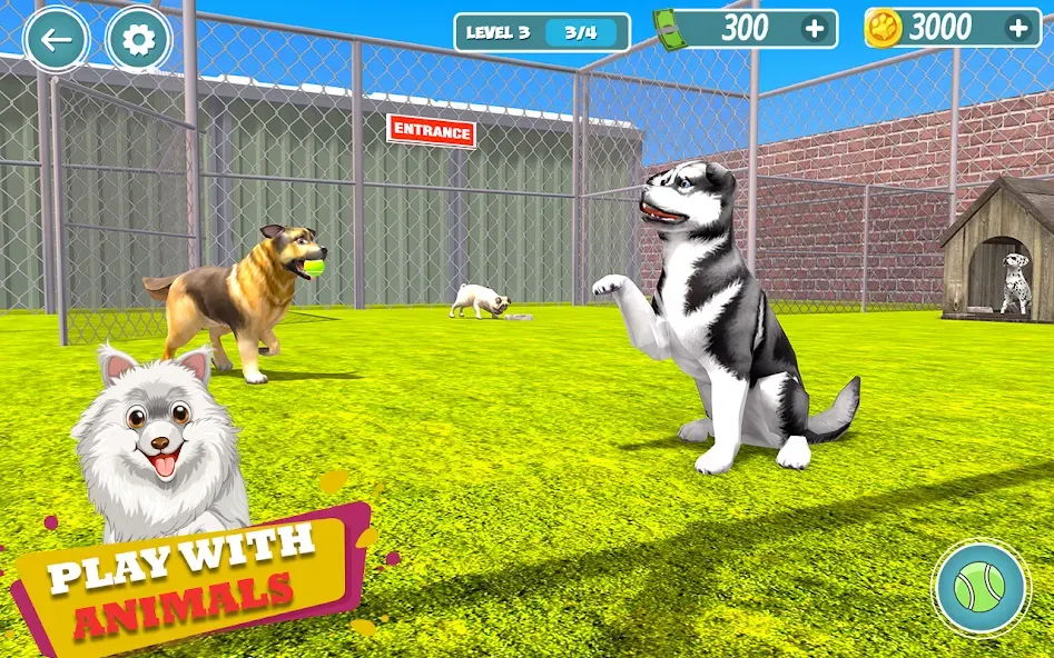 Скачать взлом My Pet Animal Shelter World  [МОД Бесконечные деньги] — стабильная версия apk на Андроид screen 1