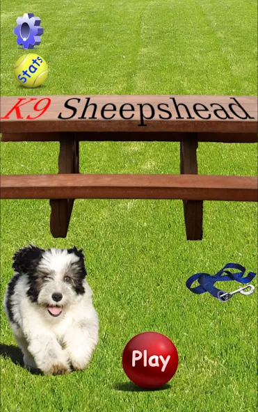 Взлом K9 Sheepshead (Schafkopf) (Шипсхед)  [МОД Menu] — полная версия apk на Андроид screen 1