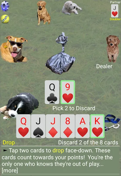 Взлом K9 Sheepshead (Schafkopf) (Шипсхед)  [МОД Menu] — полная версия apk на Андроид screen 3