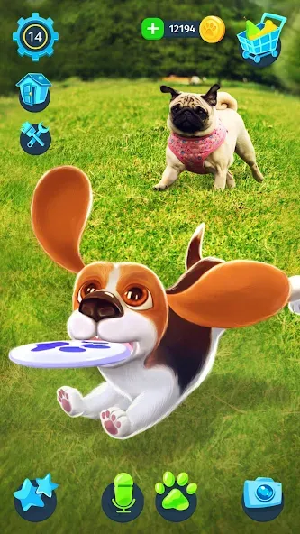 Взломанная Tamadog — Puppy Pet Dog Games (Тамадог)  [МОД Бесконечные монеты] — последняя версия apk на Андроид screen 3