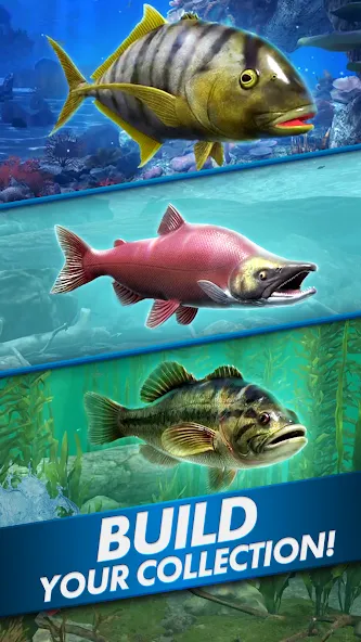 Взломанная Ultimate Fishing! Fish Game  [МОД Unlocked] — стабильная версия apk на Андроид screen 5