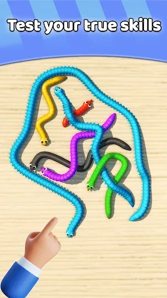 Скачать взлом Tangled Snakes Puzzle Game (Танглед Снейк 3Д)  [МОД Бесконечные монеты] — стабильная версия apk на Андроид screen 4