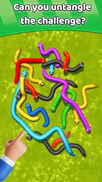 Скачать взлом Tangled Snakes Puzzle Game (Танглед Снейк 3Д)  [МОД Бесконечные монеты] — стабильная версия apk на Андроид screen 5