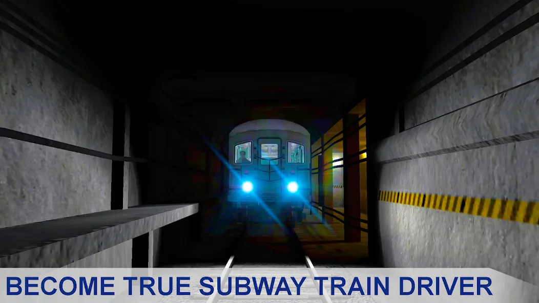 Взлом Subway Train Simulator  [МОД Много монет] — стабильная версия apk на Андроид screen 3