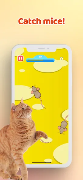 Скачать взломанную Games for Cat－Toy Mouse & Fish  [МОД Unlimited Money] — последняя версия apk на Андроид screen 1