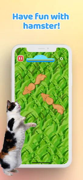 Скачать взломанную Games for Cat－Toy Mouse & Fish  [МОД Unlimited Money] — последняя версия apk на Андроид screen 5