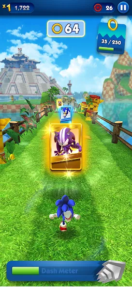 Взлом Sonic Dash — Endless Running (Соник Дэш)  [МОД Бесконечные деньги] — полная версия apk на Андроид screen 4