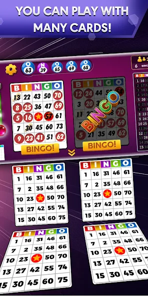 Скачать взломанную Bingo — Offline Bingo Game  [МОД Много монет] — полная версия apk на Андроид screen 1