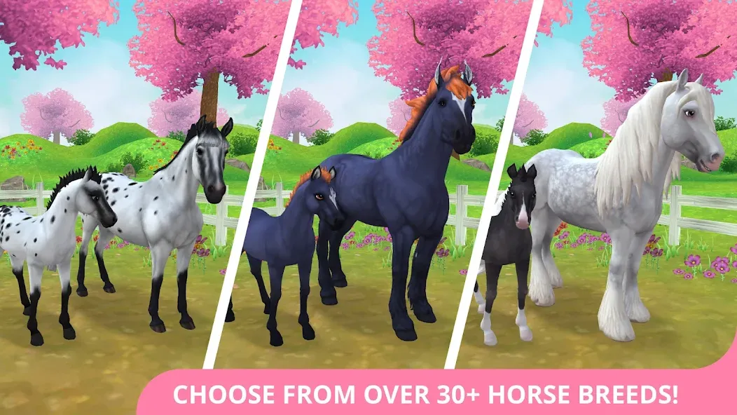 Взломанная Star Stable Horses (СТар Стабл Хорсес)  [МОД Много монет] — стабильная версия apk на Андроид screen 1