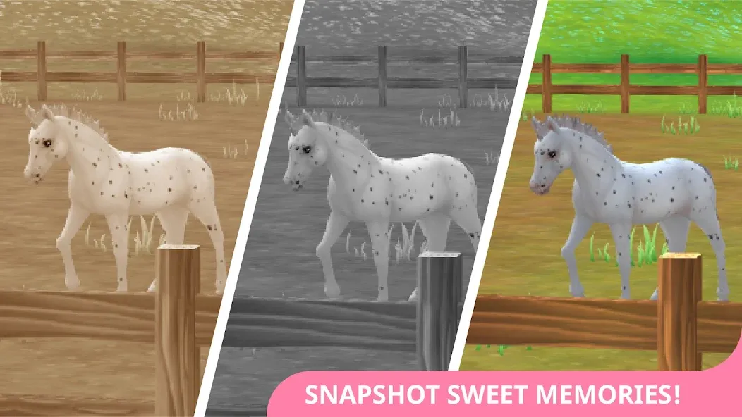 Взломанная Star Stable Horses (СТар Стабл Хорсес)  [МОД Много монет] — стабильная версия apk на Андроид screen 4