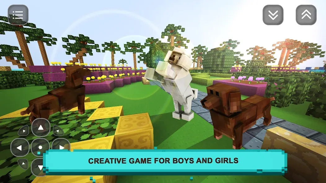 Взлом Pet Puppy Love: Girls Craft  [МОД Много денег] — последняя версия apk на Андроид screen 1