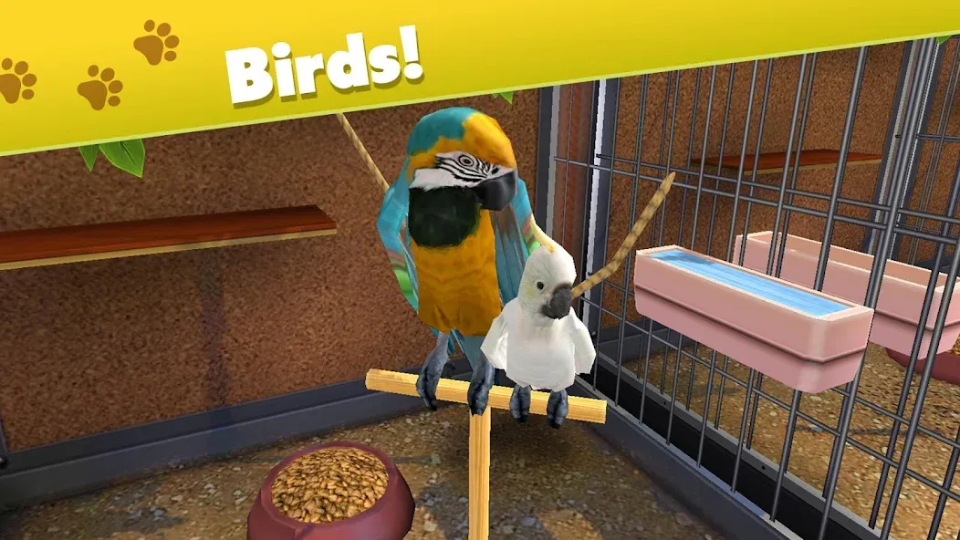 Взлом Pet World — My Animal Shelter (Пет Ворлд)  [МОД Много монет] — стабильная версия apk на Андроид screen 2