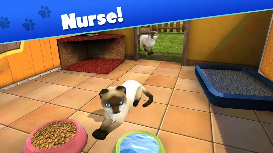 Взлом Pet World — My Animal Shelter (Пет Ворлд)  [МОД Много монет] — стабильная версия apk на Андроид screen 3