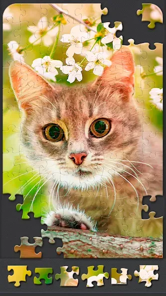 Скачать взломанную Jigsaw Puzzles for Adults  [МОД Unlocked] — полная версия apk на Андроид screen 5