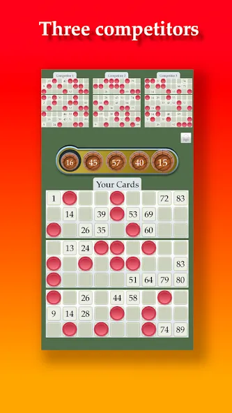 Взлом Lotto  [МОД Меню] — полная версия apk на Андроид screen 3