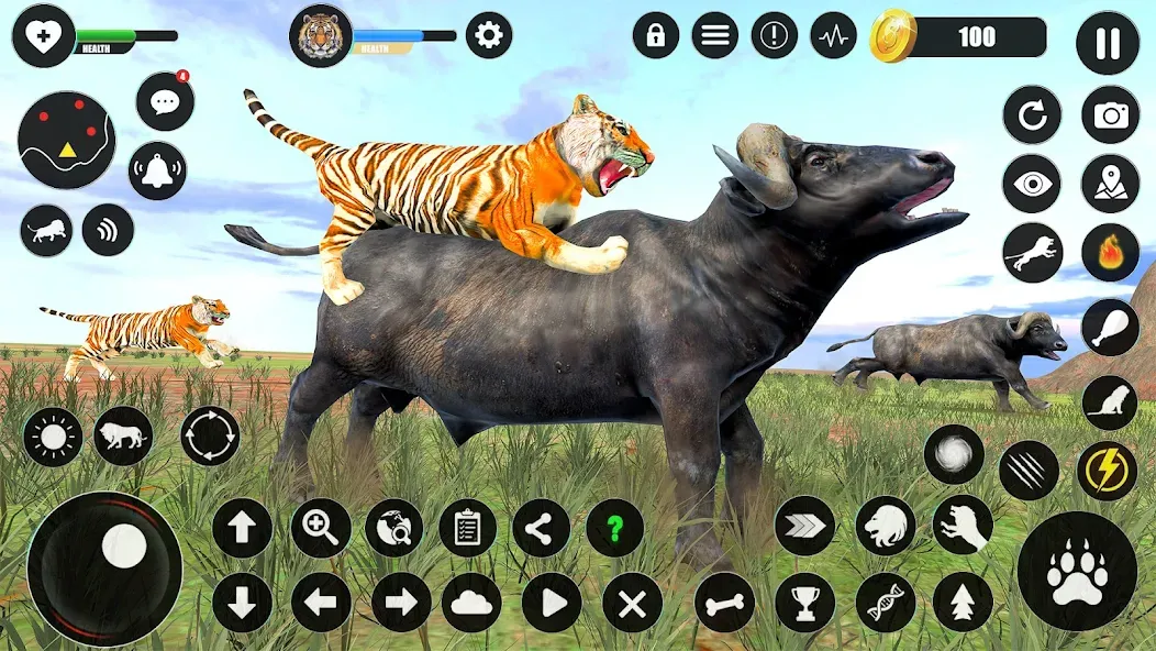 Скачать взломанную Tiger Simulator Animal Games (Тигровый симулятор  игры с животными)  [МОД Много денег] — стабильная версия apk на Андроид screen 4