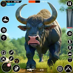 Wild Animal Deer Hunting Games