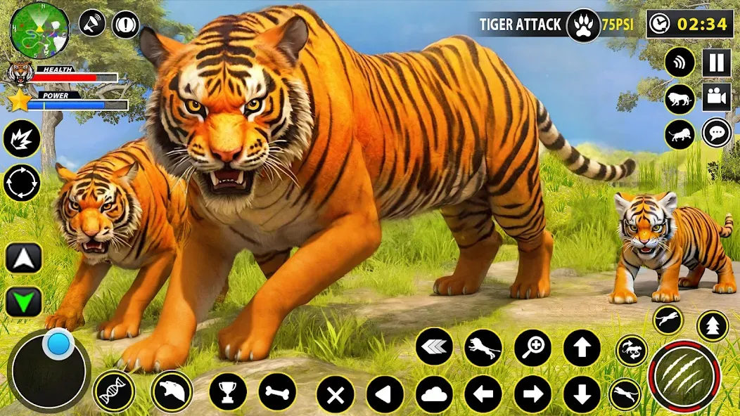 Скачать взлом Tiger Simulator Lion games 3D (Тигровый Симулятор Игр Льва 3D)  [МОД Бесконечные деньги] — полная версия apk на Андроид screen 1