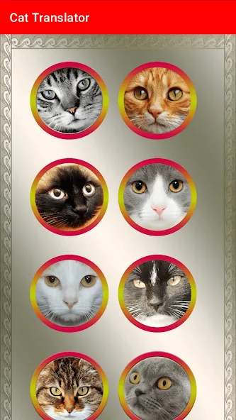 Взломанная Translator for Cats Prank  [МОД Много монет] — последняя версия apk на Андроид screen 3