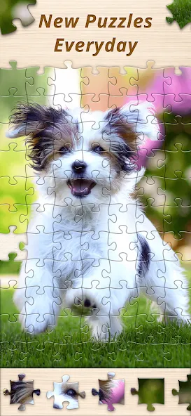 Взломанная Jigsaw Premium Puzzles HD (Джигсоу)  [МОД Все открыто] — стабильная версия apk на Андроид screen 5