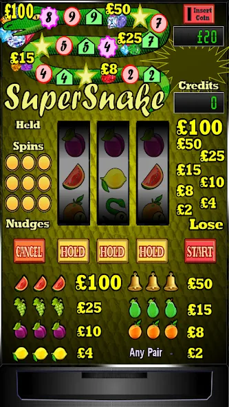 Скачать взломанную Super Snake Slot Machine  [МОД Много денег] — стабильная версия apk на Андроид screen 1