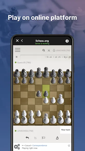 Взломанная Chessnut (Честнат)  [МОД Много монет] — последняя версия apk на Андроид screen 2