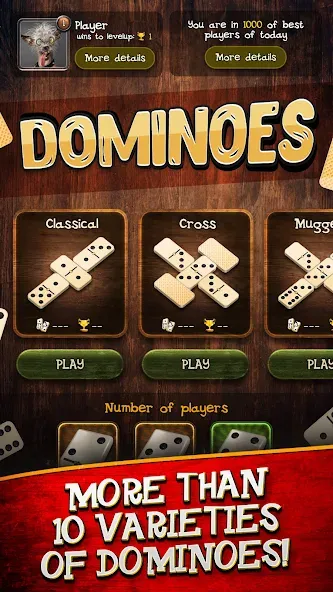 Взлом Dominoes  [МОД Бесконечные монеты] — стабильная версия apk на Андроид screen 4