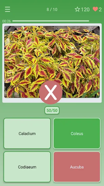 Взломанная Quiz: Flowers, Plants  [МОД Unlocked] — стабильная версия apk на Андроид screen 3